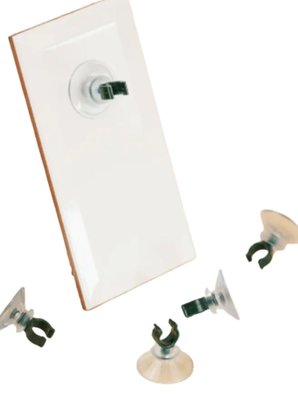 Miniature : Porte brosse à dents ventouse