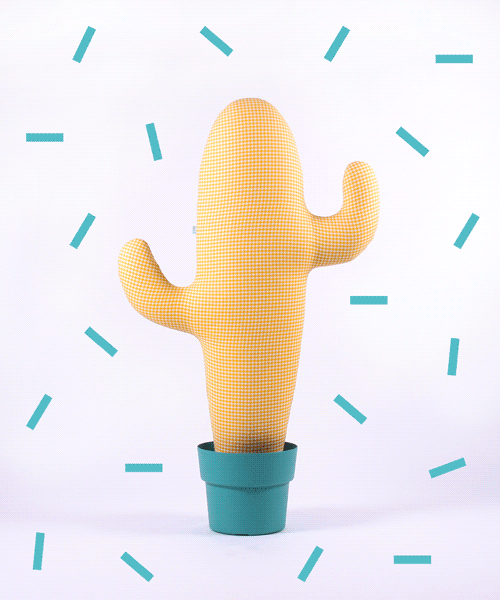 RTBF - LE GRAND CACTUS