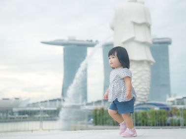 Merlion3