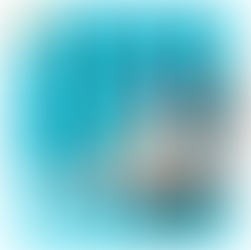 התאמה אישית של המשכנתא