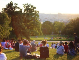 Top Greenville Activities
