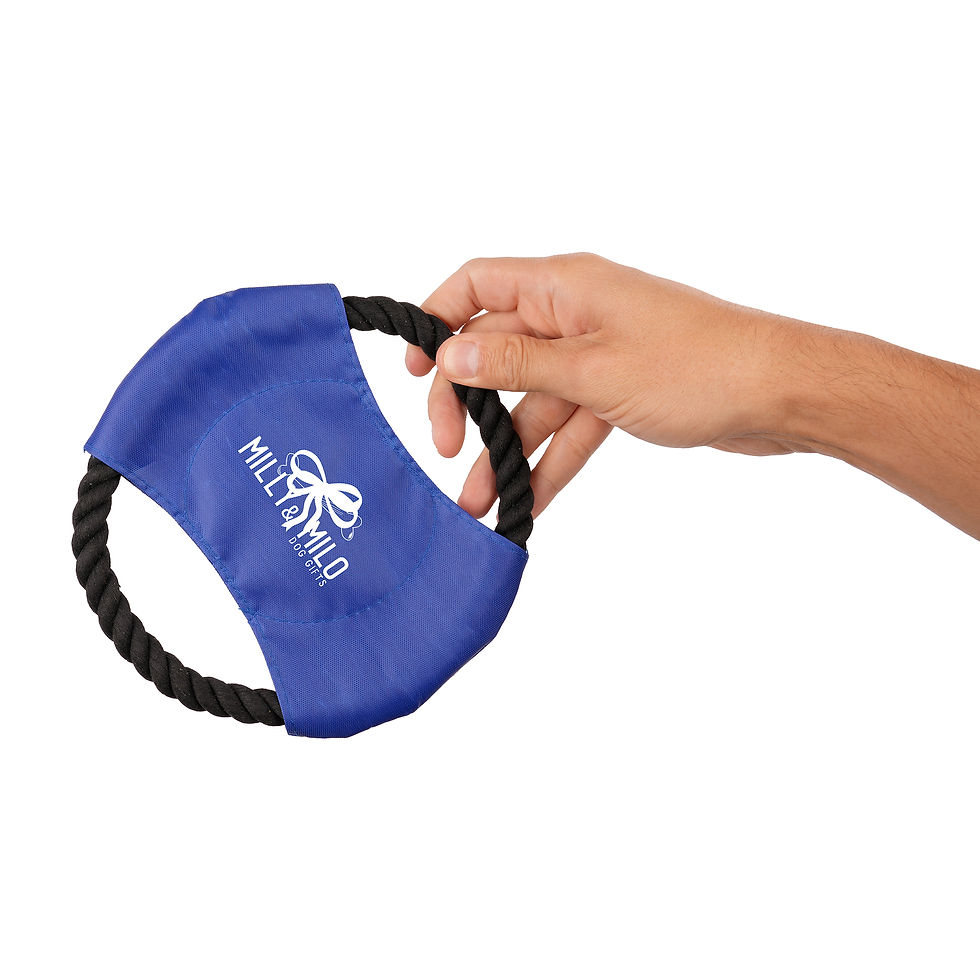 Thumbnail: Rope Flying Disc Pet Toy