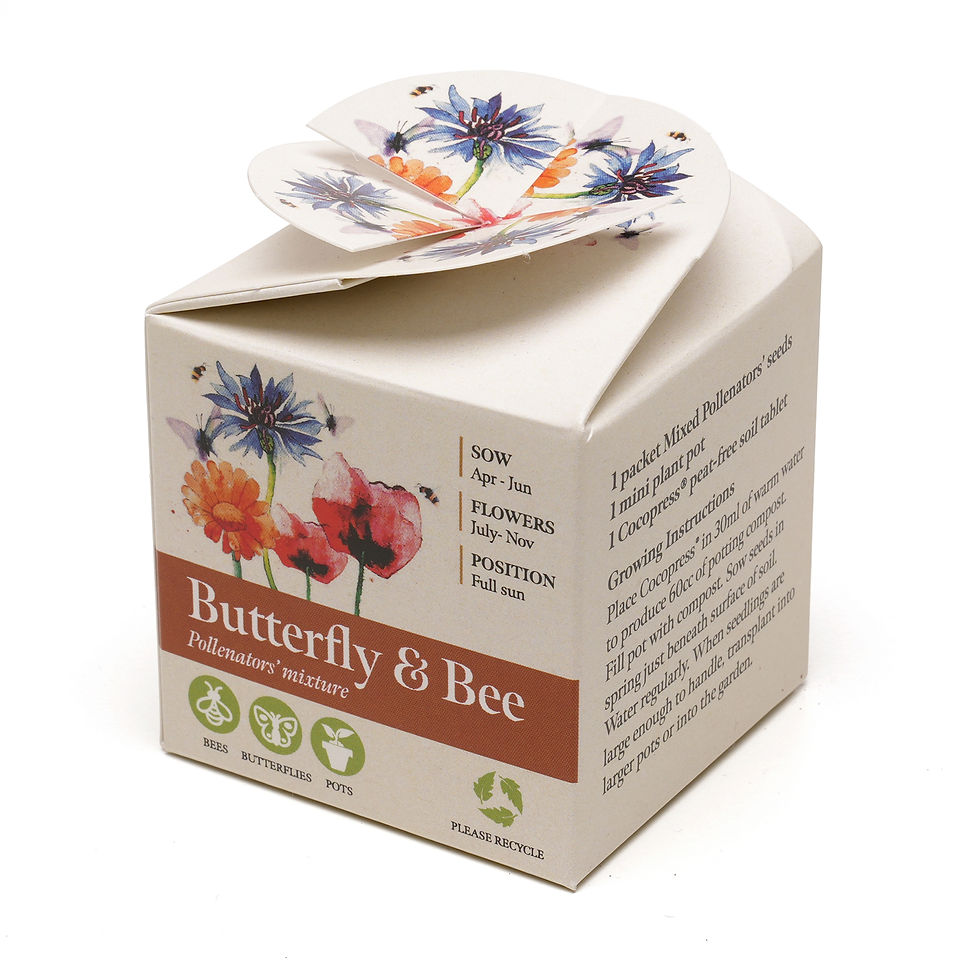 Thumbnail: Mini Box Seed Kit