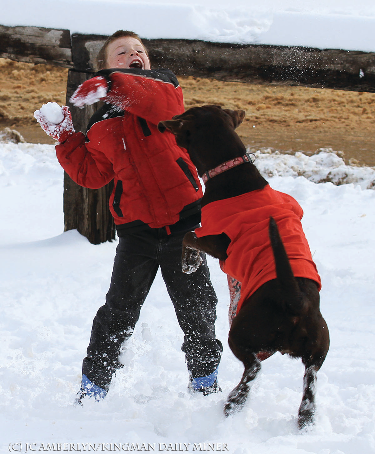 Kid and His Dog