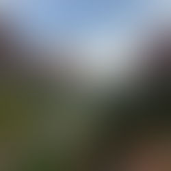 Arizona-Utah National Parks Itinerary