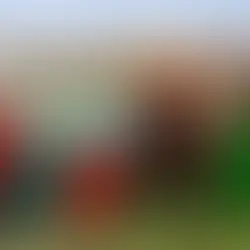 Holland America Extends "Kids Cruise Free" in Same Stateroom Offer