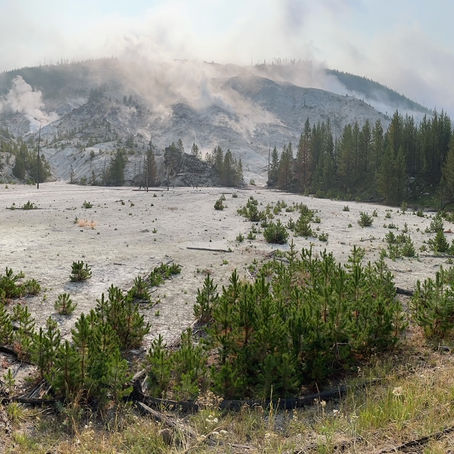 Stunning Tetons and Yellowstone Park