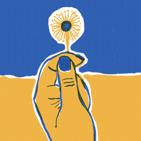 Wish For Ukraine NFT image