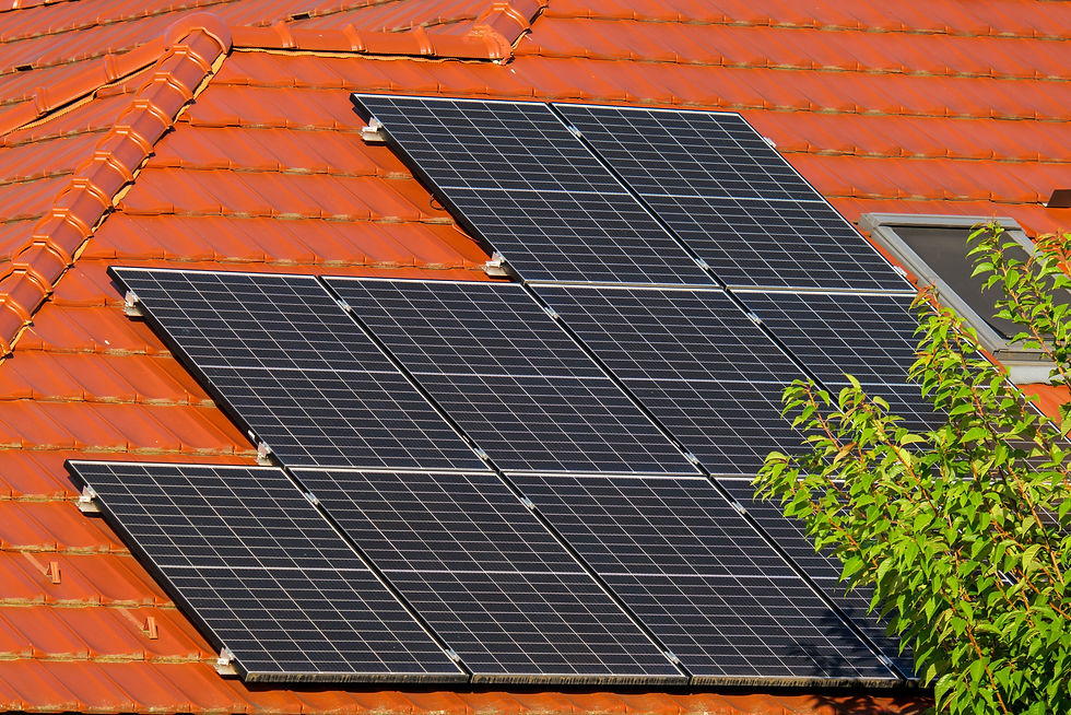 Monocrystalline and Polycrystalline Solar: Which One Is Best For Your Facility