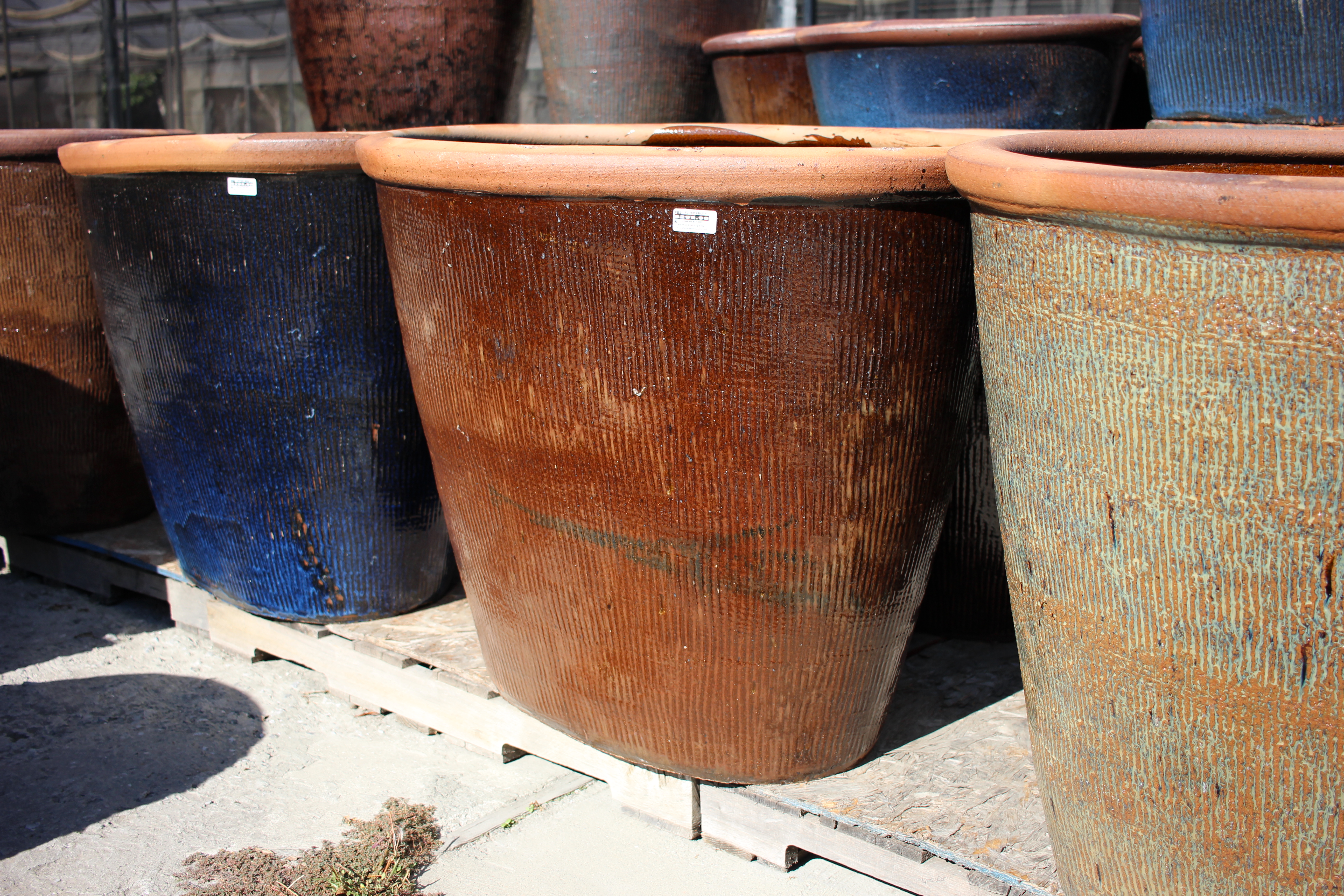 Oval Pot