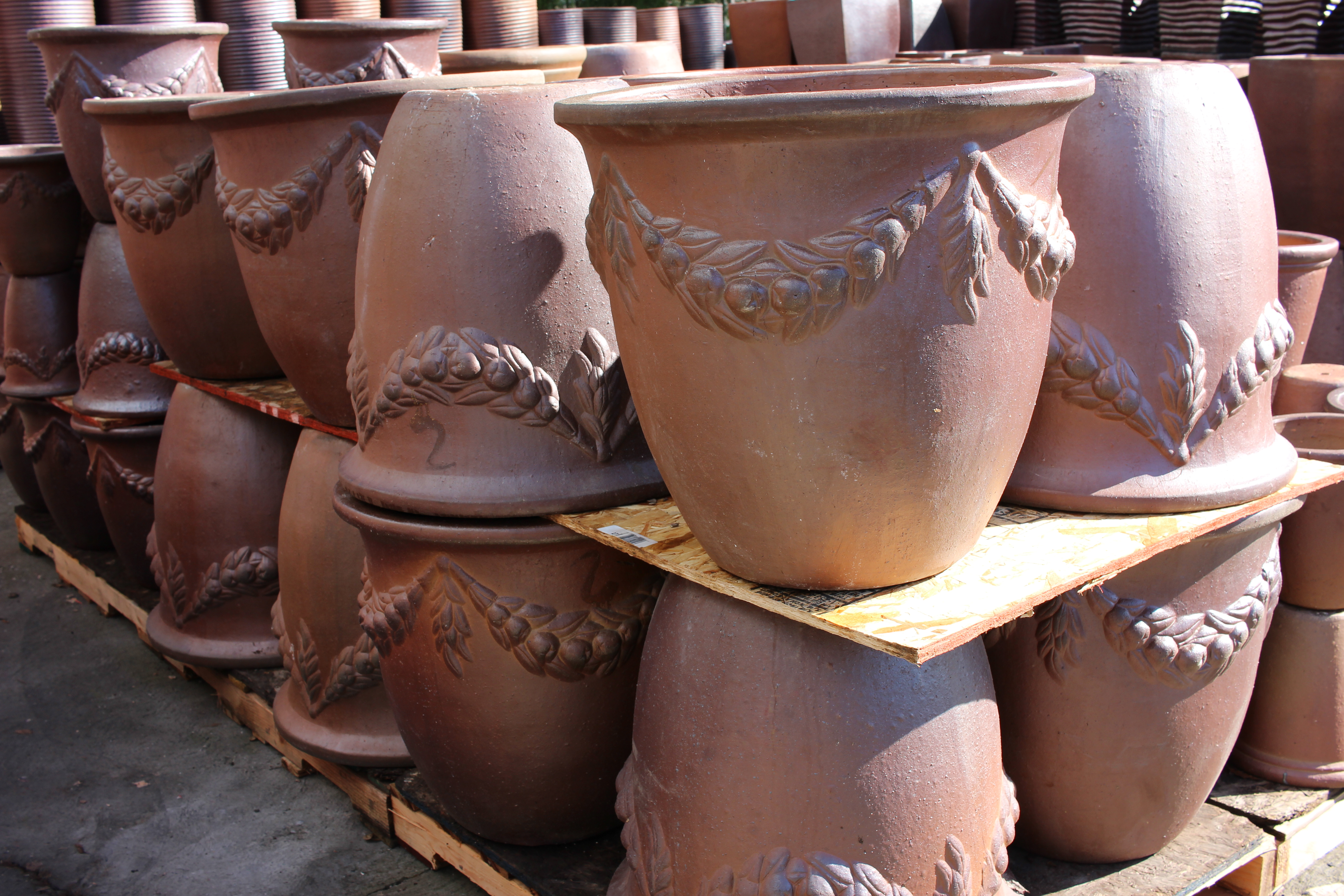 Coconut Flower Pot