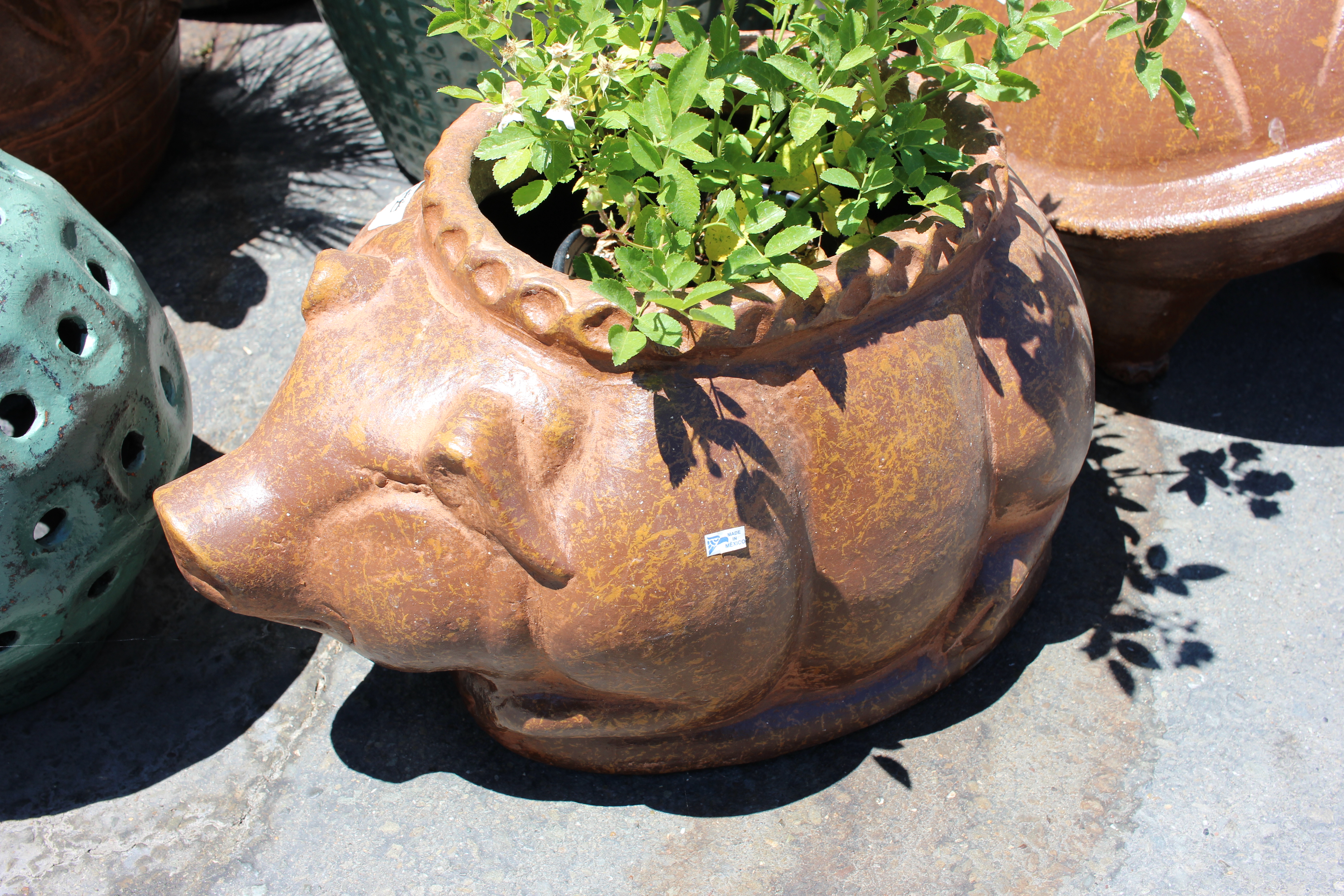 Pig Planter