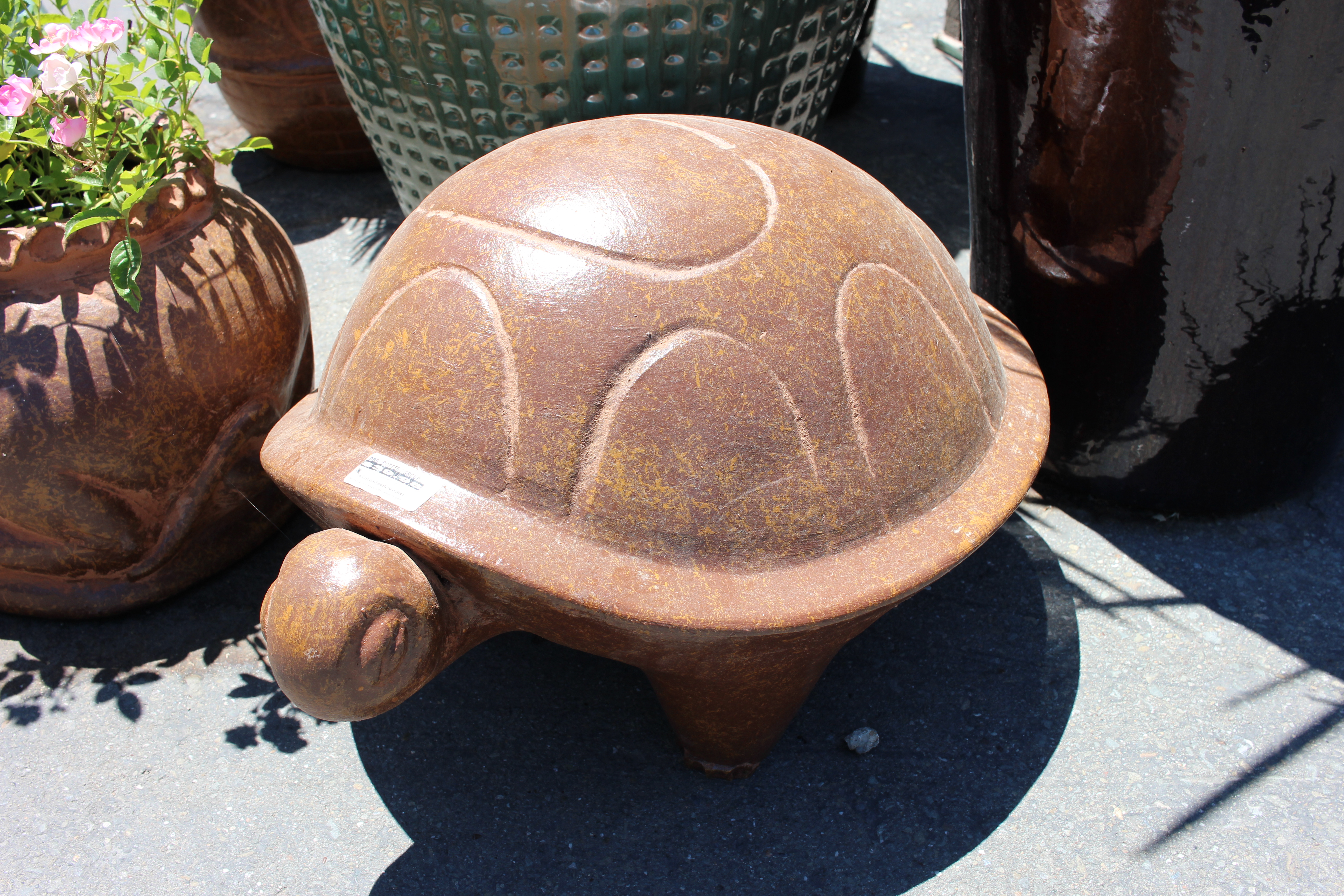 Turtle