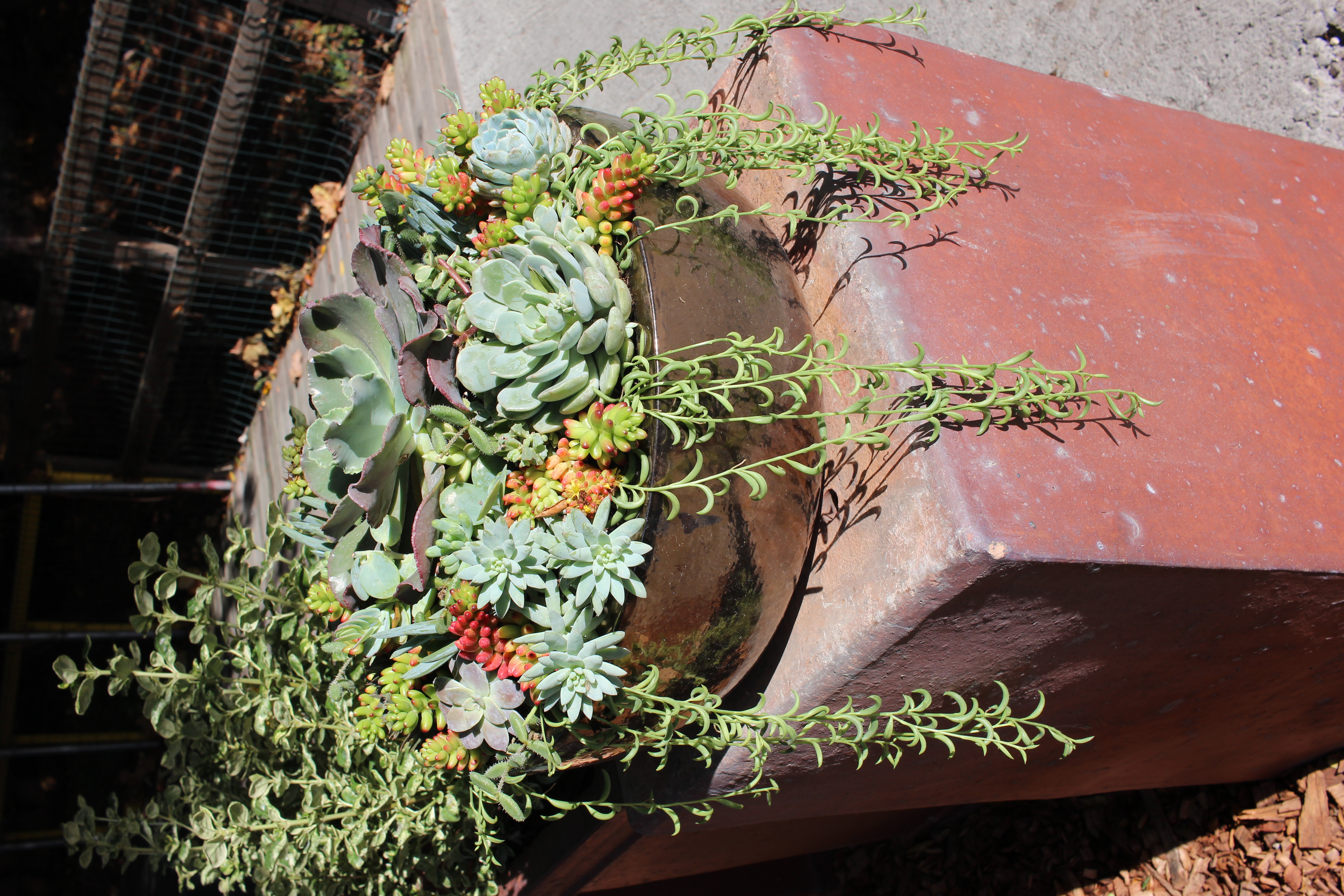 Plant And Pottery Outlet Sunol California Usa Plant And Pottery Outlet Sunol