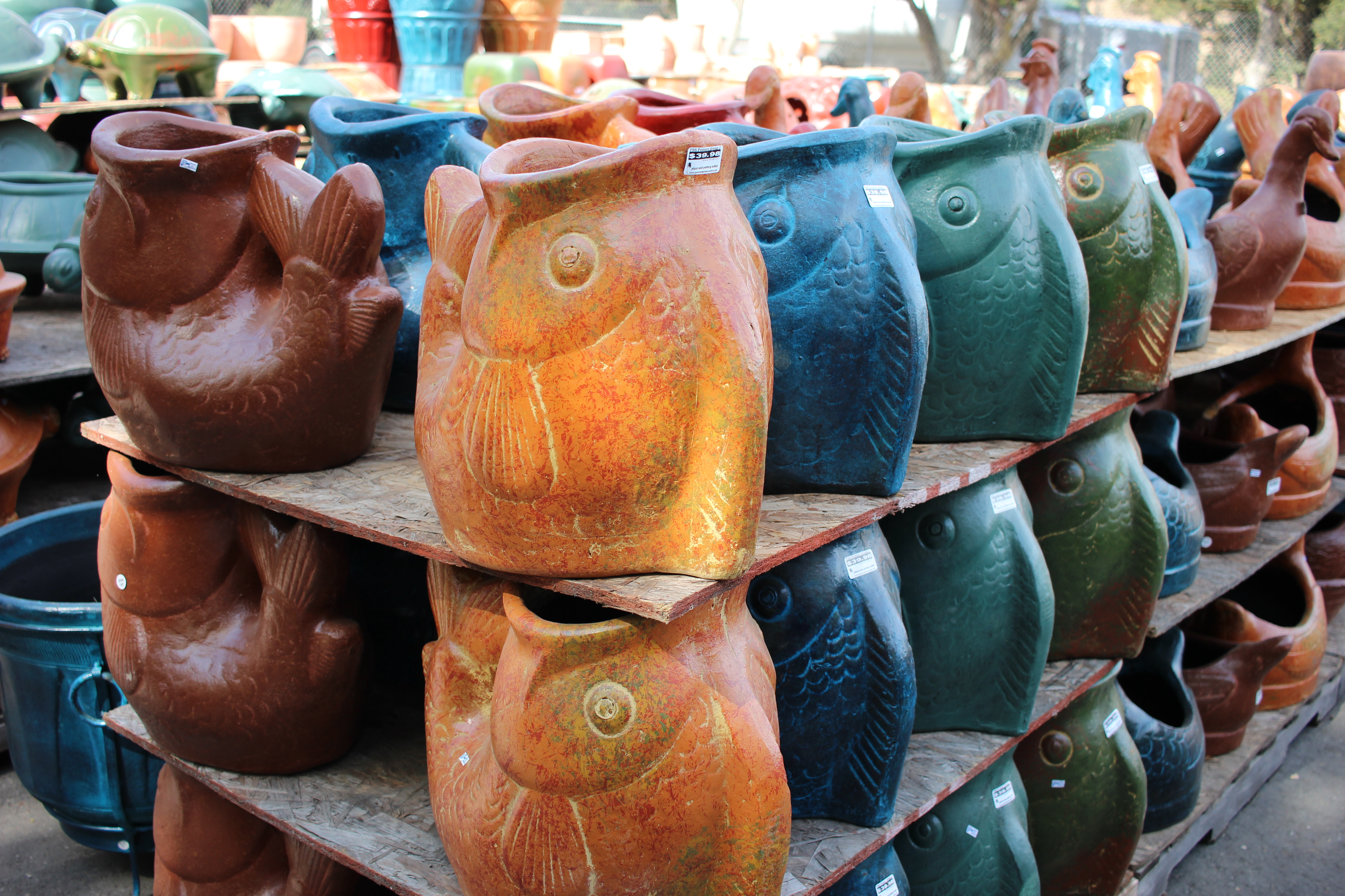 Fish Planter