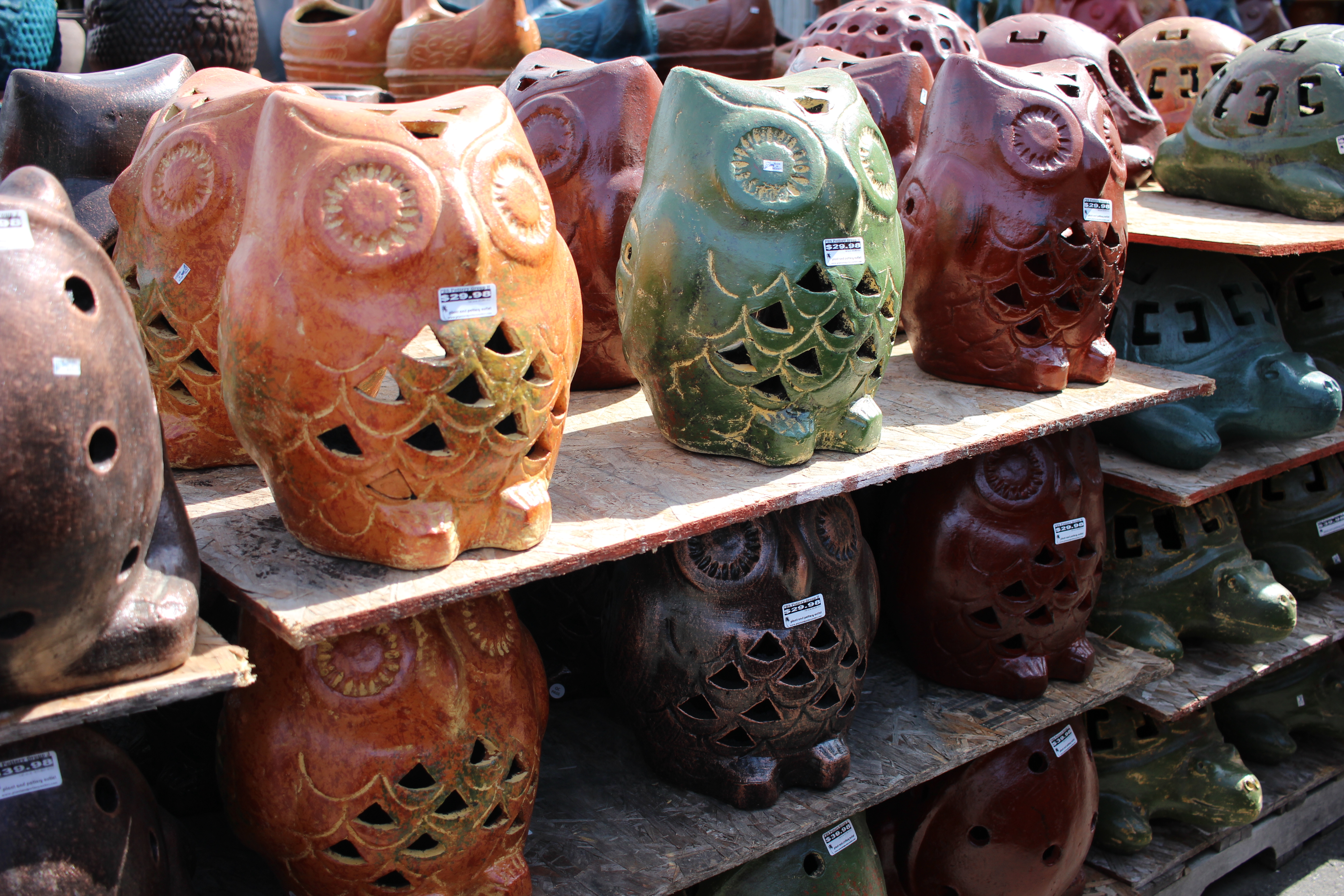 Owl Lantern