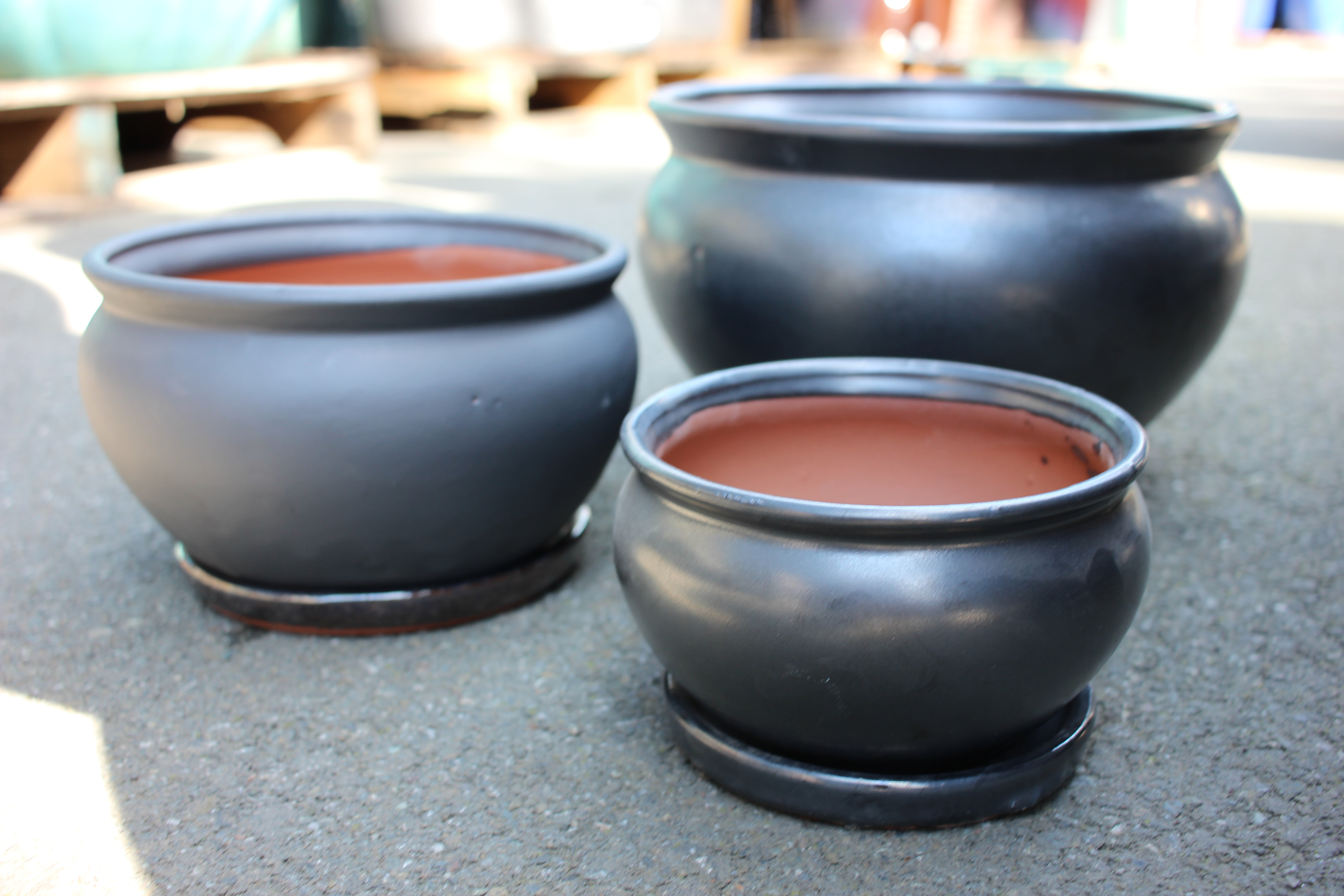 Low Garden Pot