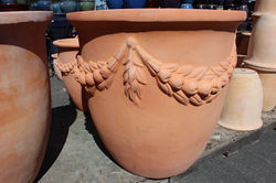 Coconut Flower Pot