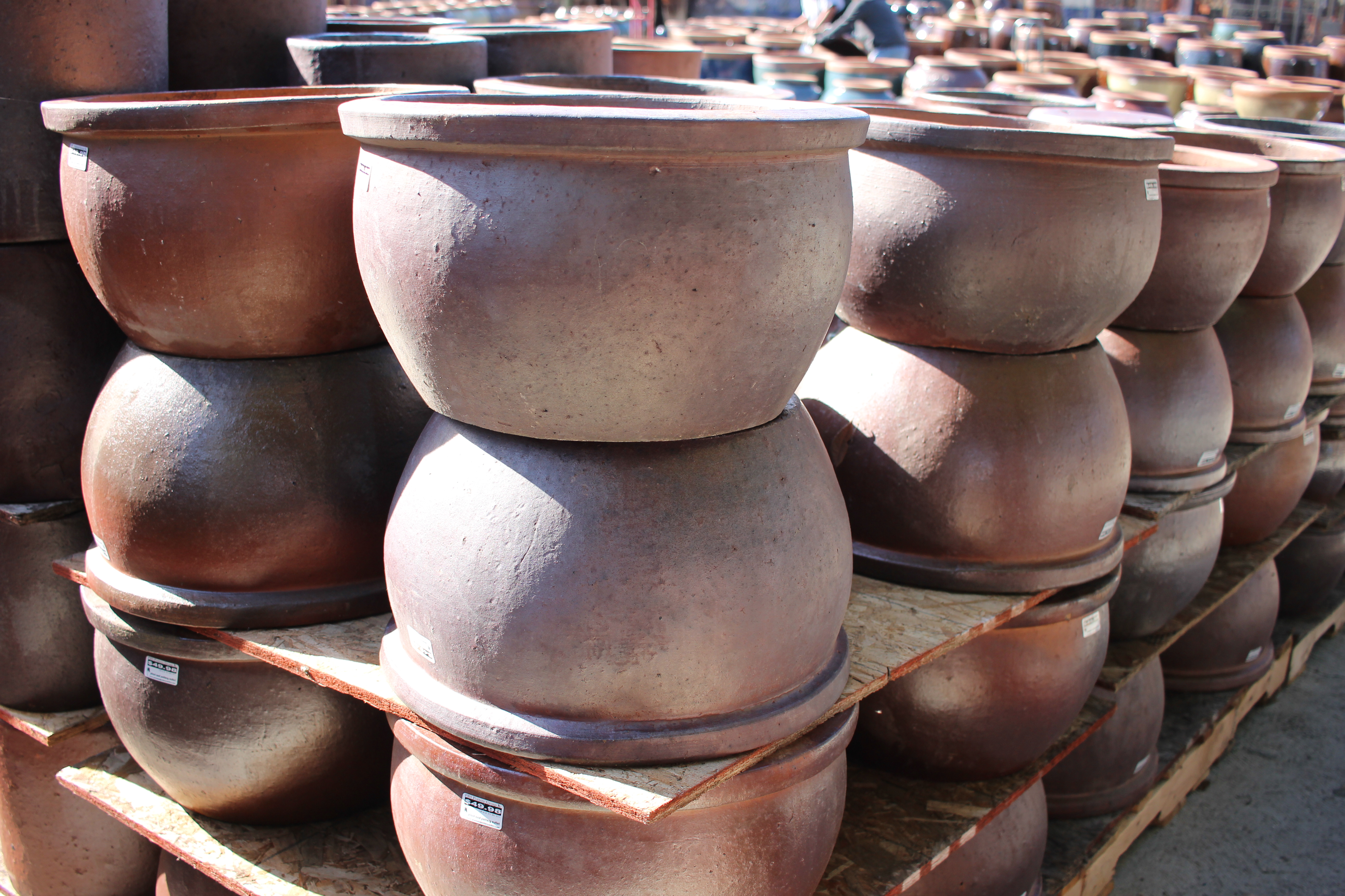 Low Belly Pot