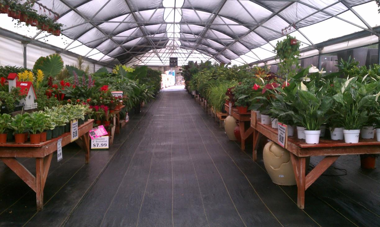 Plants Plant and Pottery Outlet Sunol CA