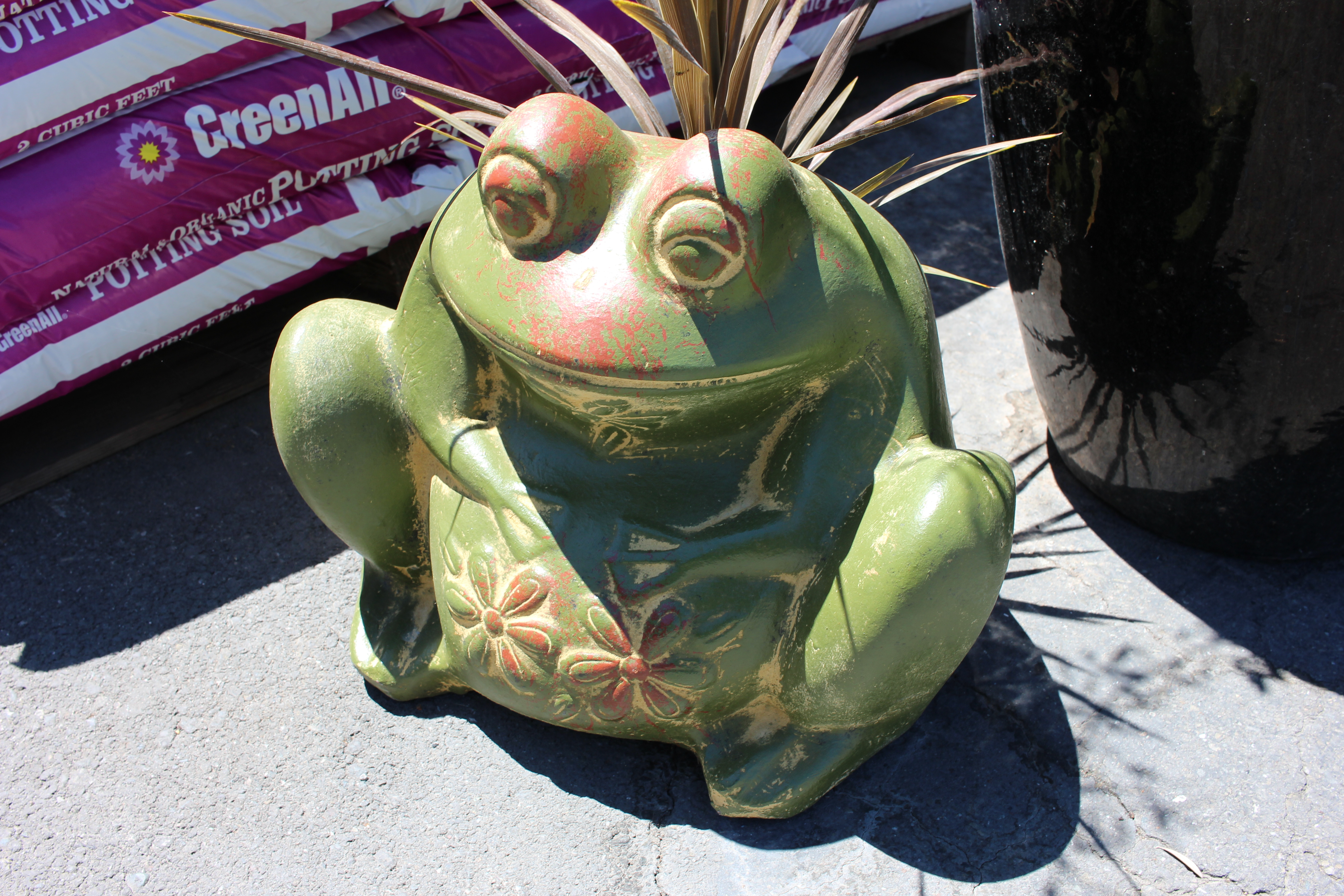 Frog Planter