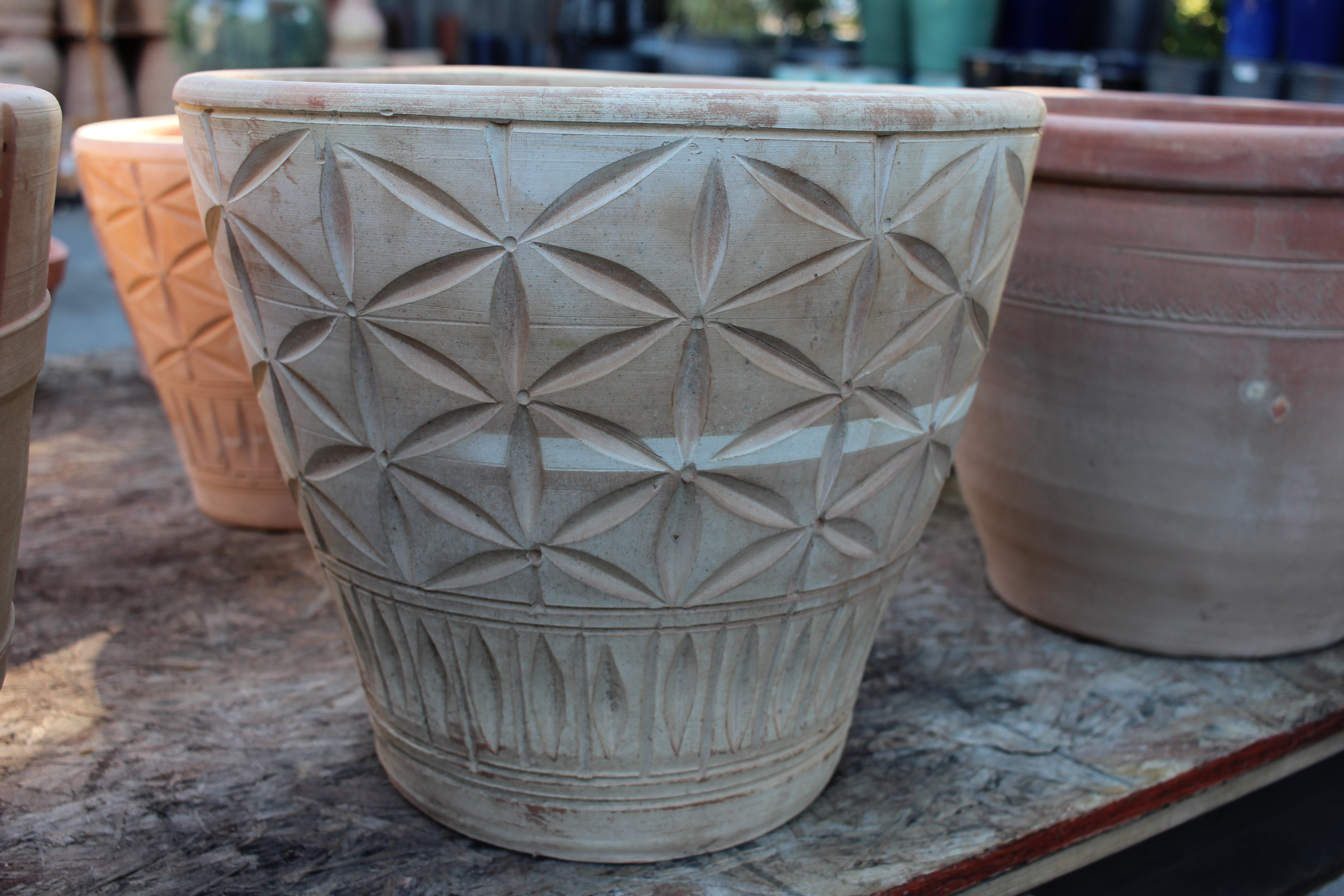 Web Pot