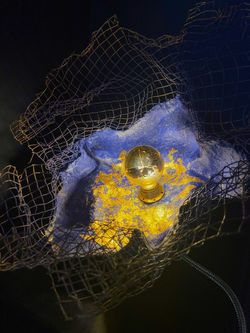 "Lumière Sauvage" - Sculpture lumineuse