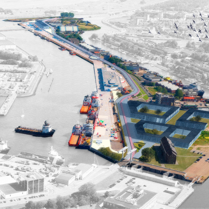 Natuurinclusieve Havendijk Den Helder