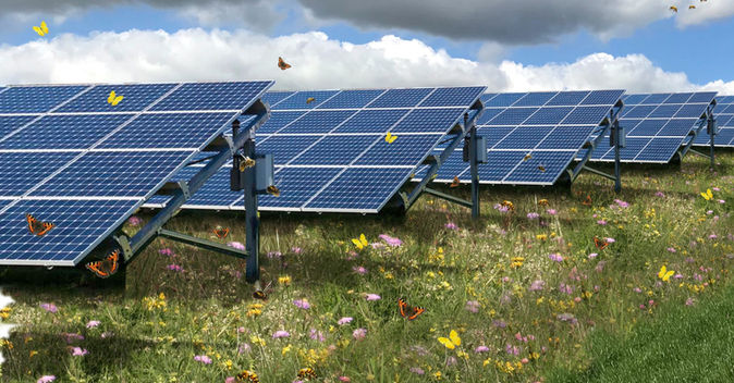 Building Nature Through Solar