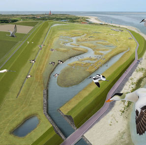 Getijdennatuur Polder Wassenaar