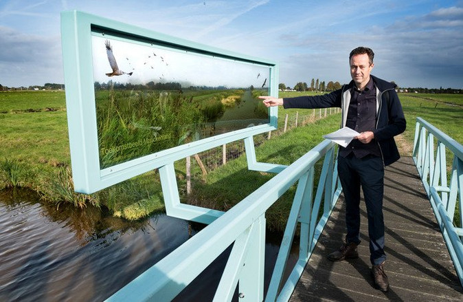 Wetland park Marickenland in AD: Lisdodde is een gewas met potentie!