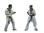 spinkick.gif