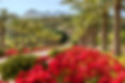 Castell Son Claret - The Leading Hotels of the World *****