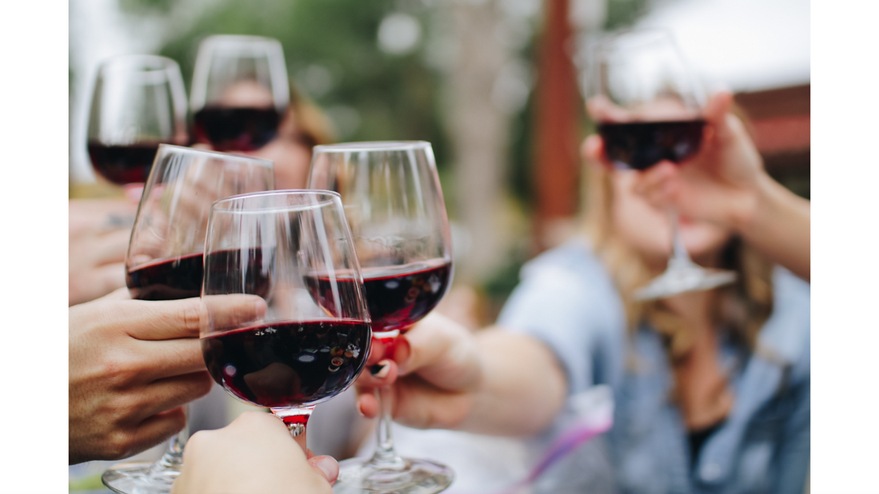Wine Mallorca Travels
