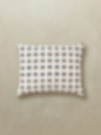 Talea cushion