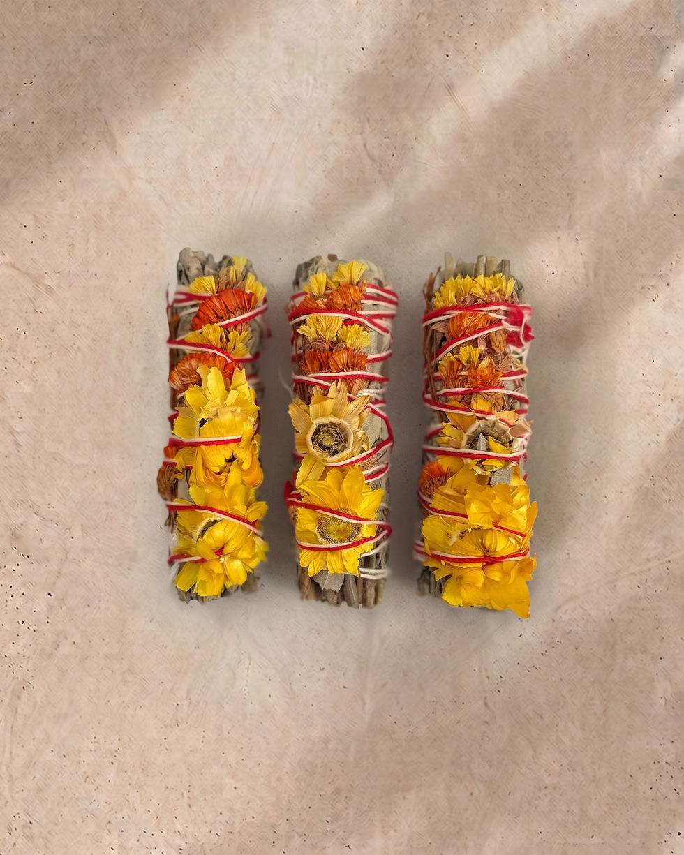 Sunflower White Sage – top view