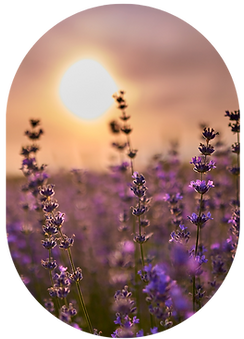 Ateliers bien être sophrologie