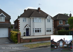 DaleAvenue Comparrison