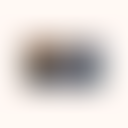 maazi défend une inclusion durable lors d’une table ronde à Colombes