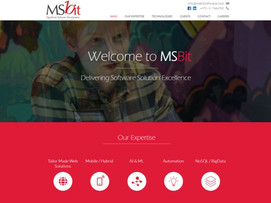 MSbit - פיתוח תוכנה