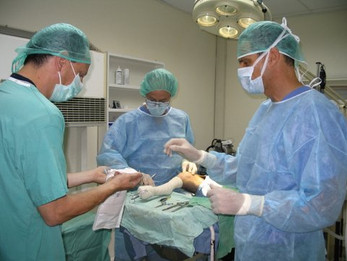 ניתוח לתיקון רצועה צולבת בברך של כלבה