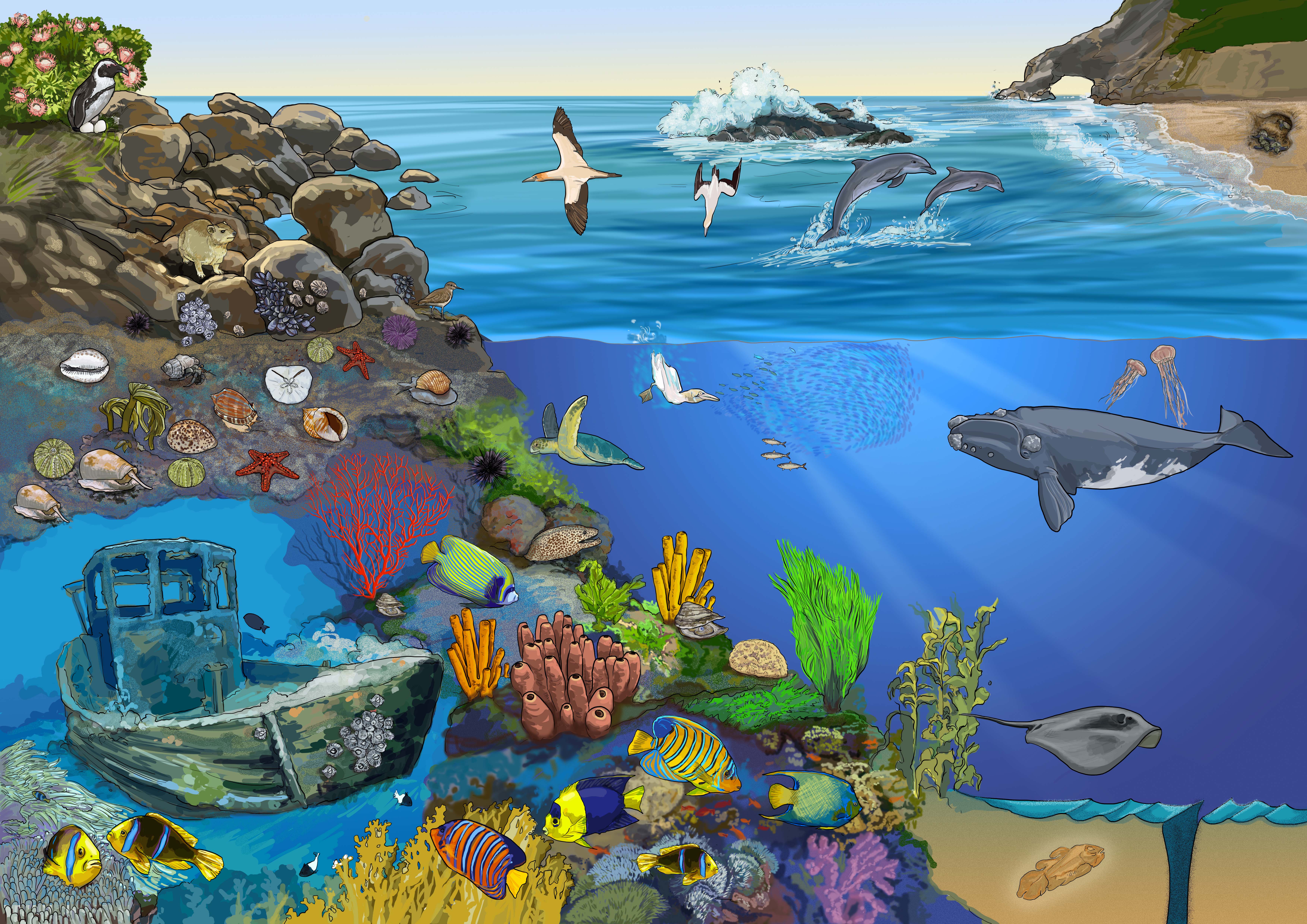 Rocky shores Poster