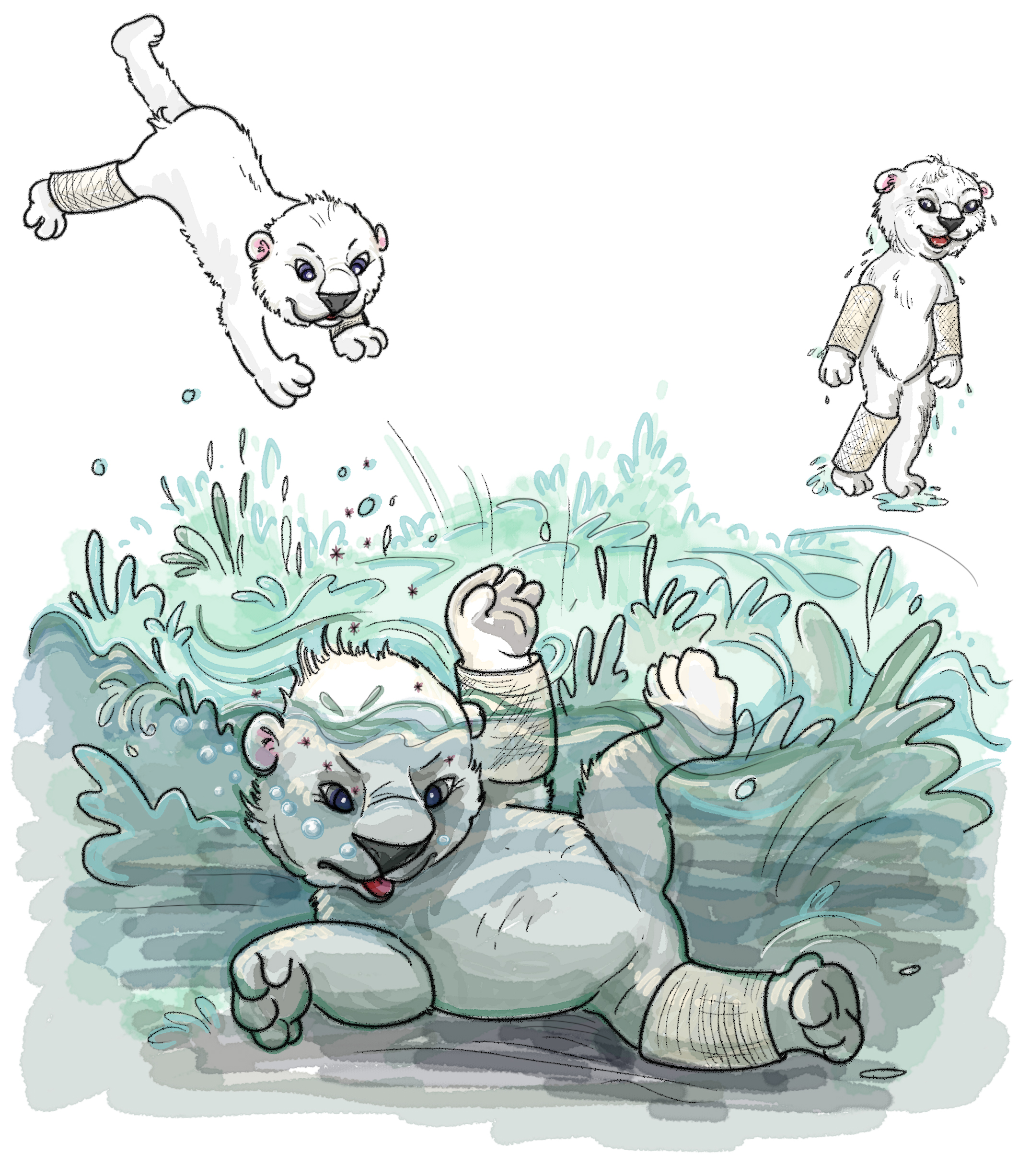 LittlePoloBear