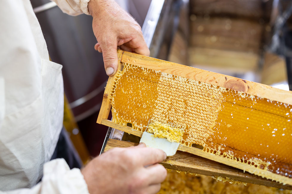harvest-honey-beekeeper-with-professional-equipment-harvesting-fresh-ripe-honey-summer.jpg