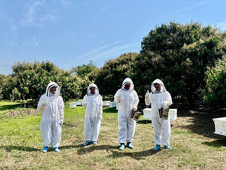 Bee Products Industry Thai bee farm.jpg