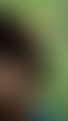 20.000 especies de abejas 