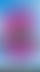 Y donde esta el policía? 2025 