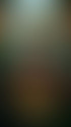 Dora y la Ciudad Perdida (2019) 