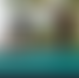 Morar nos EUA muda tudo: comida, rotina, clima, ritmo de trabalho… e, muitas vezes, a saúde acaba ficando em segundo plano. Entre trabalho, casa, filhos, inglês e burocracia, é muito fácil ir empurrando o cuidado com o corpo e a mente para “quando der”. Só que esse “quando der” às vezes não chega – e é aí que os problemas aparecem. A boa notícia? Pequenas mudanças funcionam. Não estamos falando de revolucionar sua vida de um dia para o outro, mas de construir hábitos diários simples, possíveis e que, somados, podem literalmente salvar sua saúde a longo prazo.