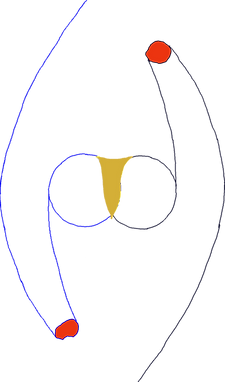 Full outline w hearts and vase.png